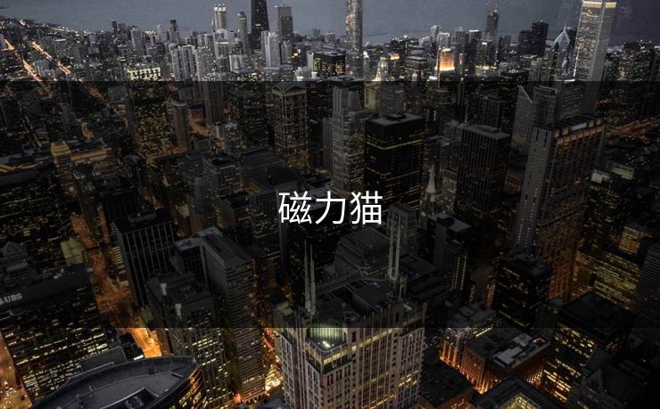 磁力猫