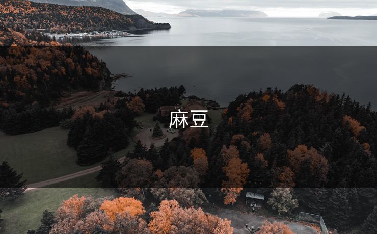麻豆