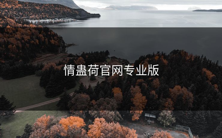 情蛊荷官网专业版