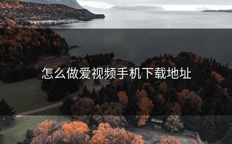 怎么做爱视频手机下载地址