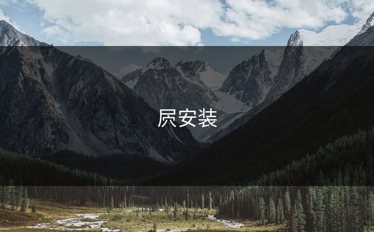 屄安装