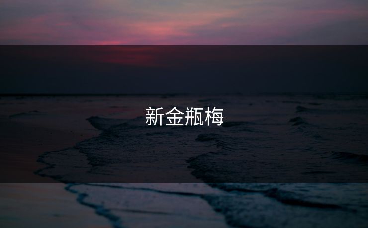 新金瓶梅