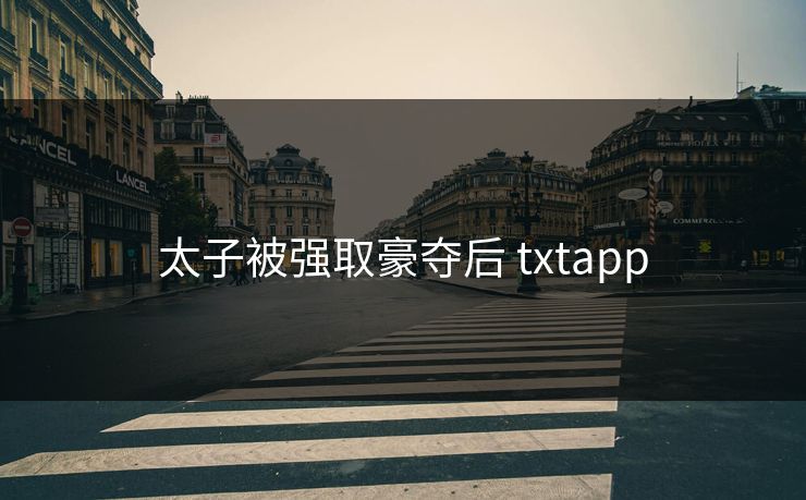 太子被强取豪夺后 txtapp